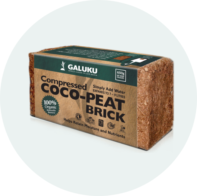 coco-peat-brick2x coco-peat brick