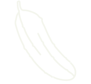 cucumber cucumber