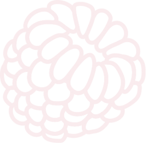 raspberry