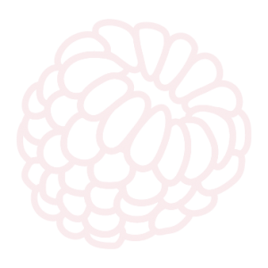 raspberry