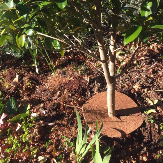 coir weed mat for shrubs