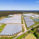 Aerial View Berry Farm