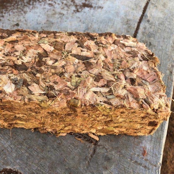Coir Block - Compressed