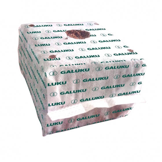 Coir seedling cube