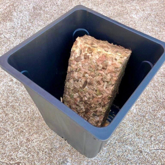 Coir Block Compressed