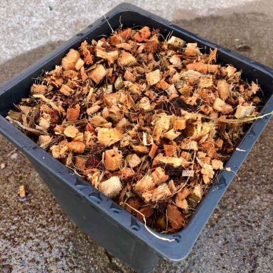 Coir Pot Filler Expanded