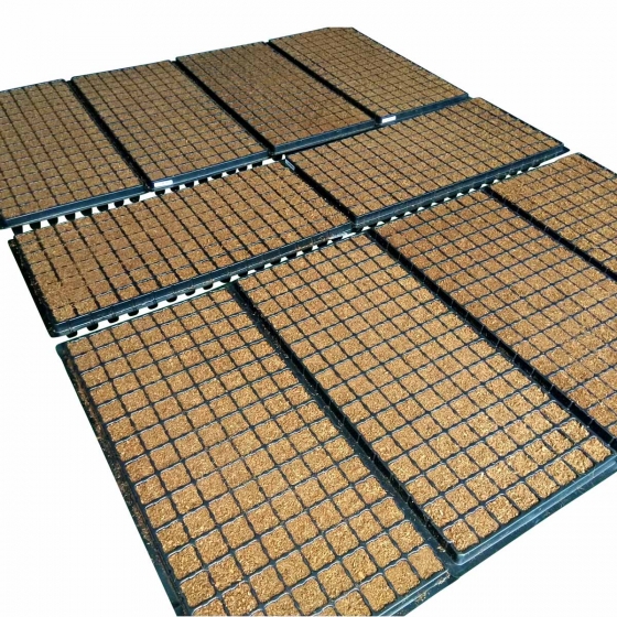 seed-raising tray