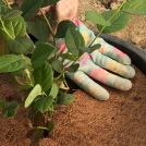 placing weedmat in pot