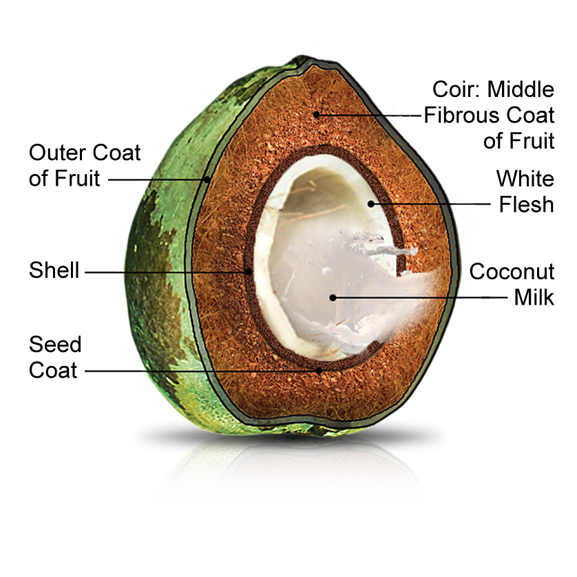 cococutaway-w-type where does cocopeat come from?