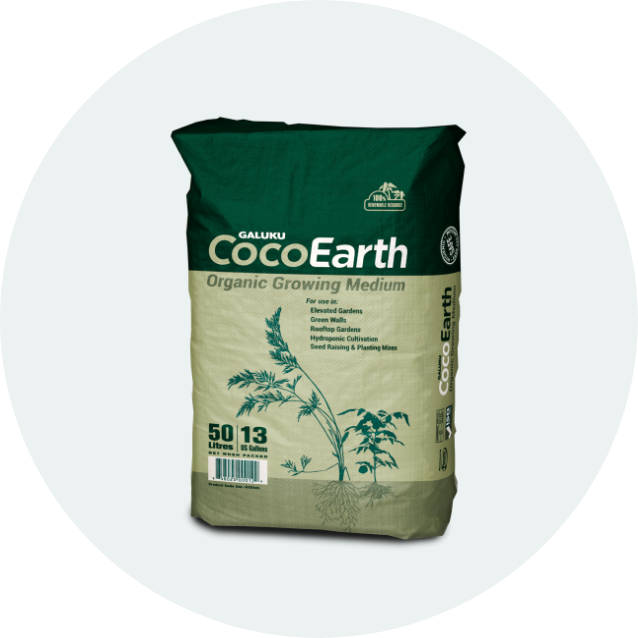 cocoearth-image2x bag of cocoearth