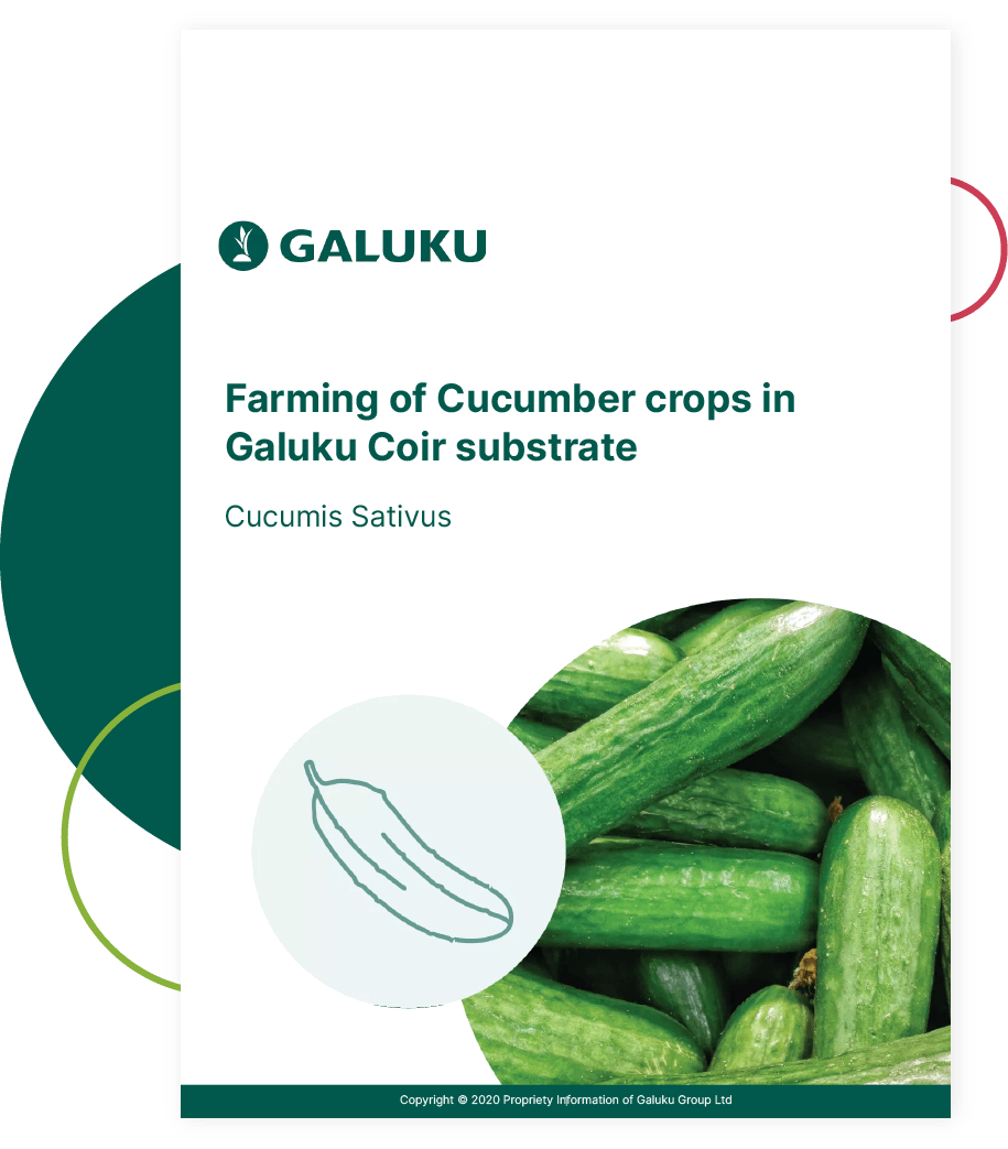 cucumber-guide-cover Growing cucumber in Coir substrate