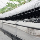 Plantlogic Hi-Grow Slab System