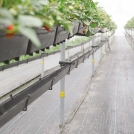 Plantlogic Hi-Grow System