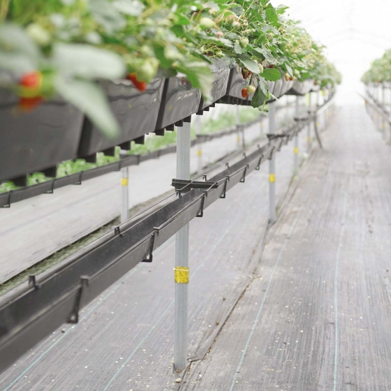 Plantlogic Hi-Grow System