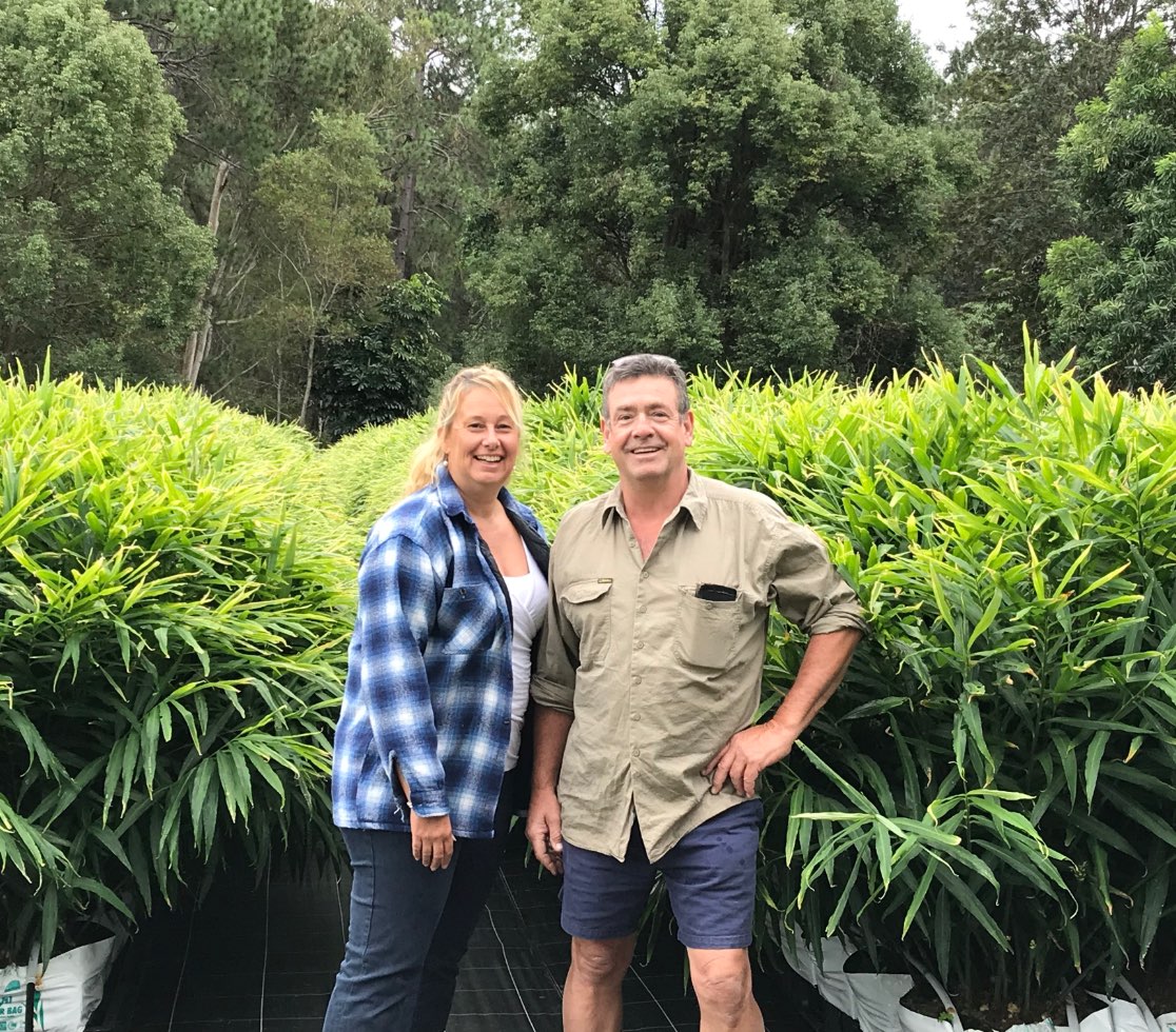 lakers-cover2x Growing Ginger in the Glasshouse Mountains Australia