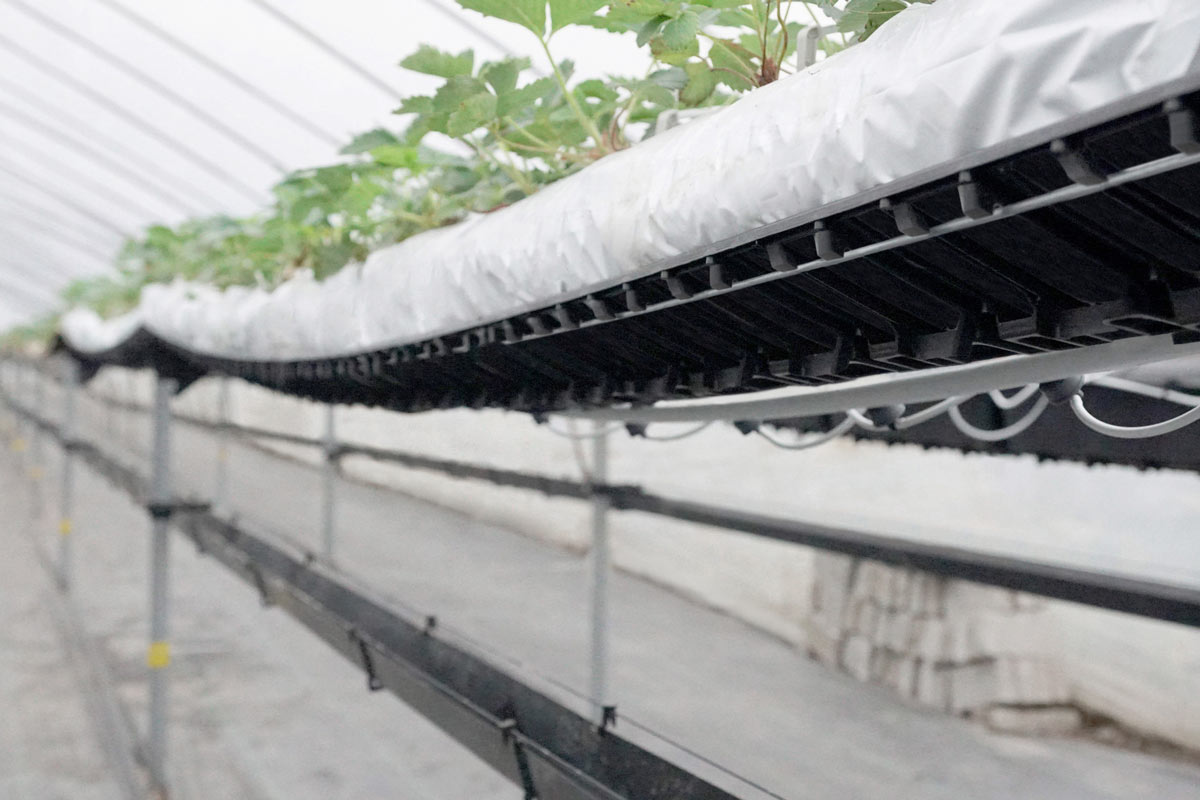 hi-grow-slab Plantlogic Hi-Grow Slab System