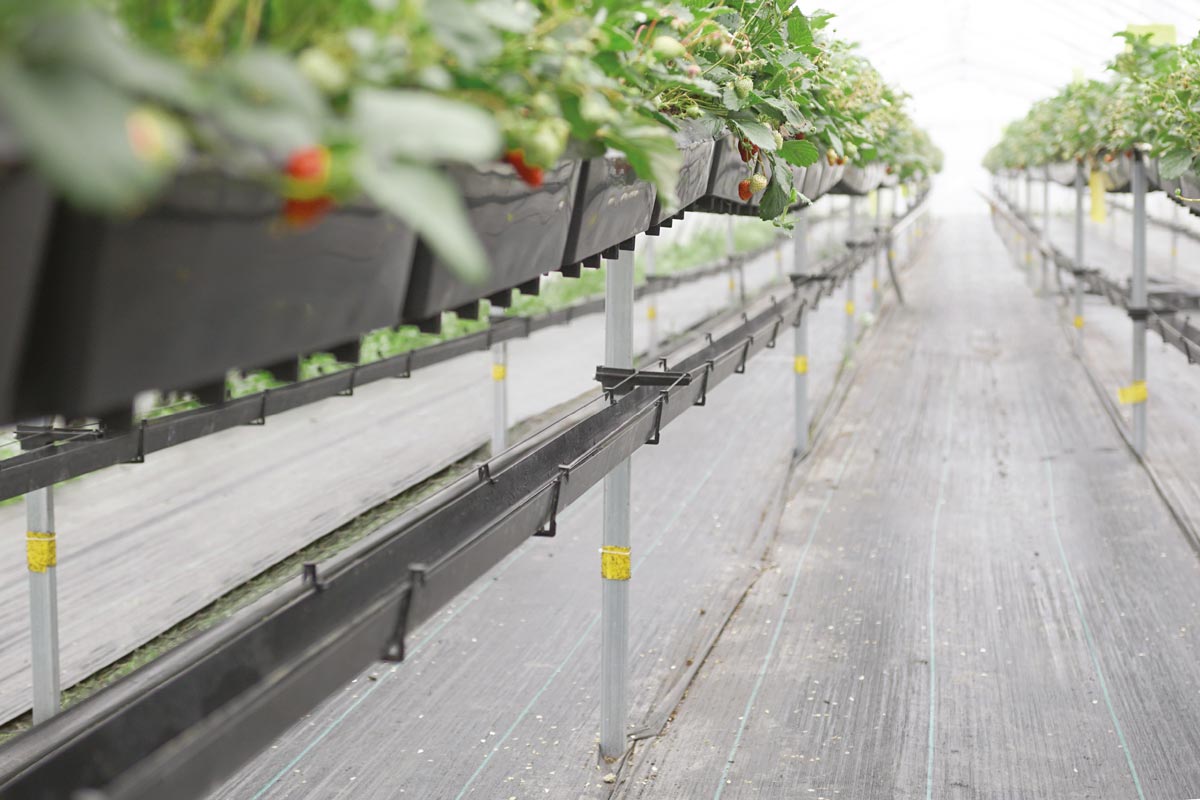 hi-grow-system2 Plantlogic Hi-Grow 9L Pot System